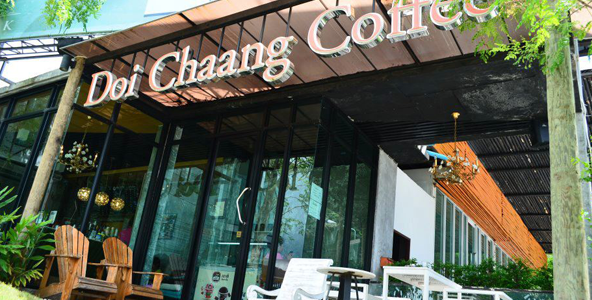 งานพิเศษร้านกาแฟ DOI CHAANG Caffe