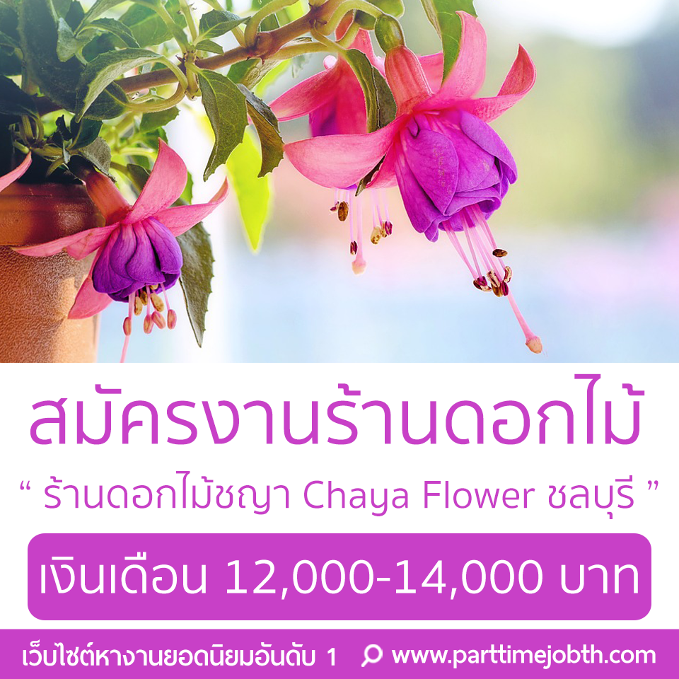 รับสมัครพนักงานร้านดอกไม้ชญา Chaya Flower ชลบุรี